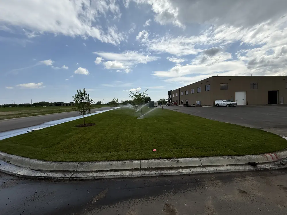 Fresh green lawn with sprinklers running beside a curb
